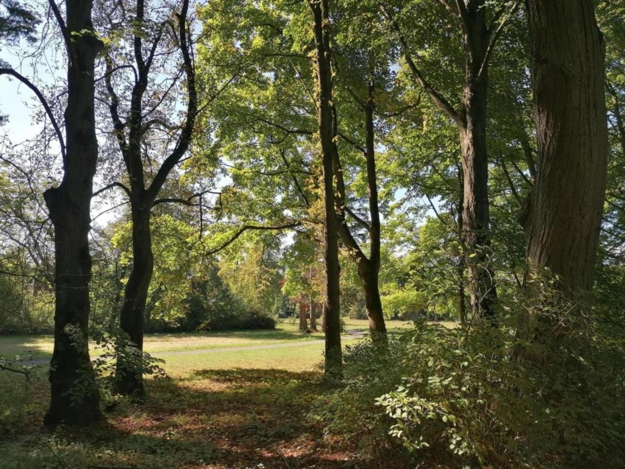 Spacious Apartment In Weser Uplands With Garden Bad Pyrmont Kültér fotó