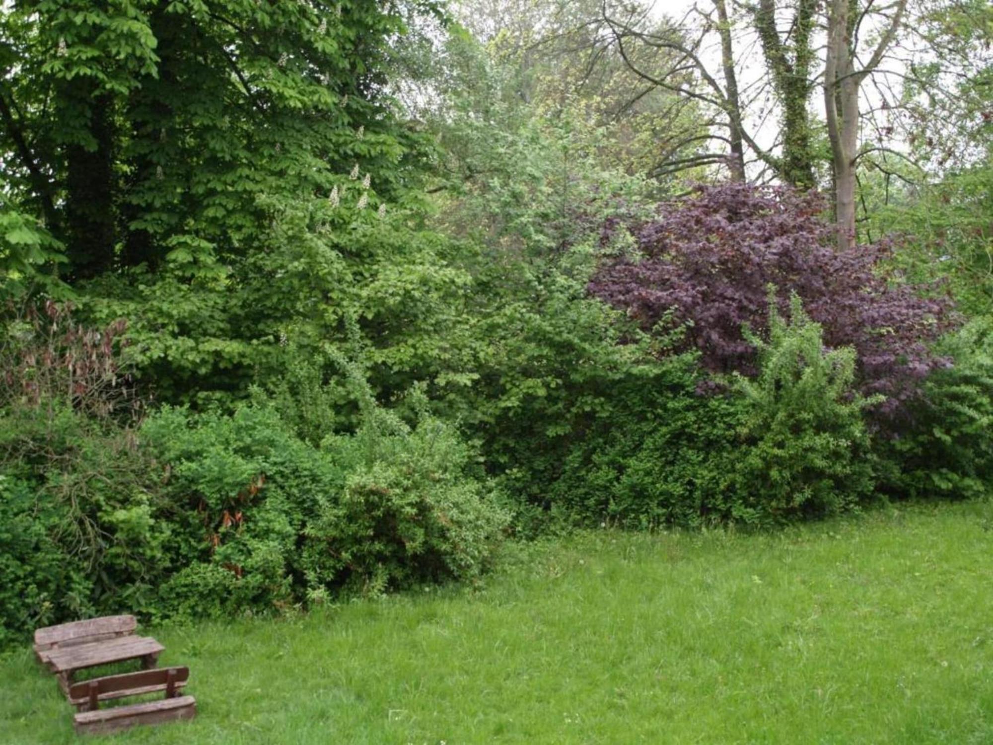 Spacious Apartment In Weser Uplands With Garden Bad Pyrmont Kültér fotó